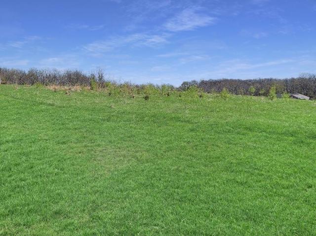 Land for sale in Princeville, Illinois