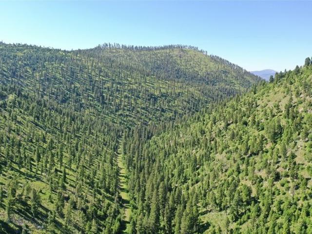 Land for sale in Granite, Montana