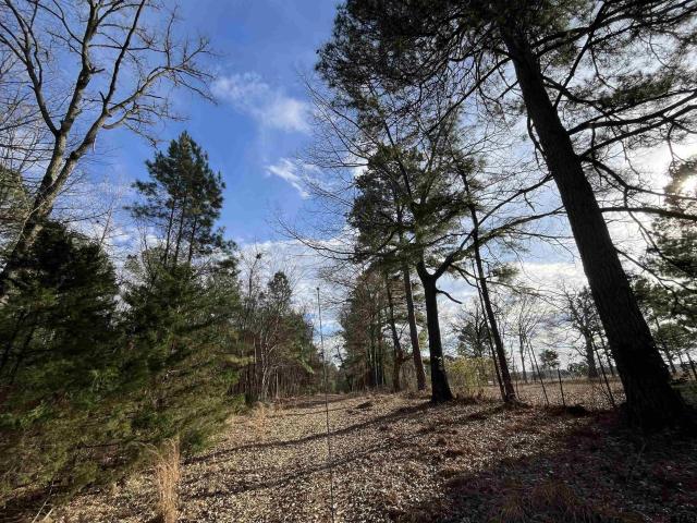 Land for sale in White Oak, Texas