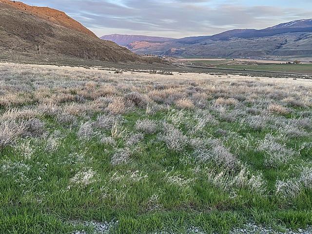 Land for sale in British Columbia