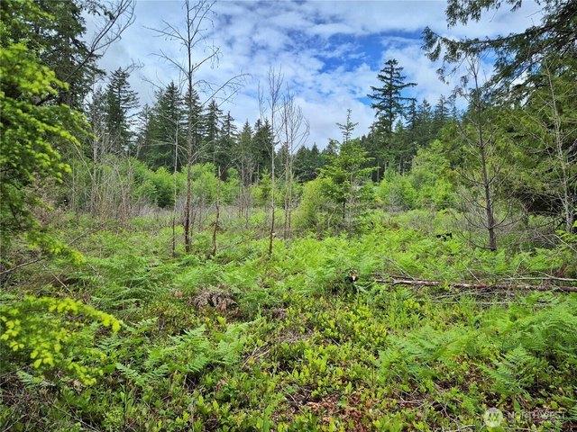 Land for sale in Seabeck, Washington