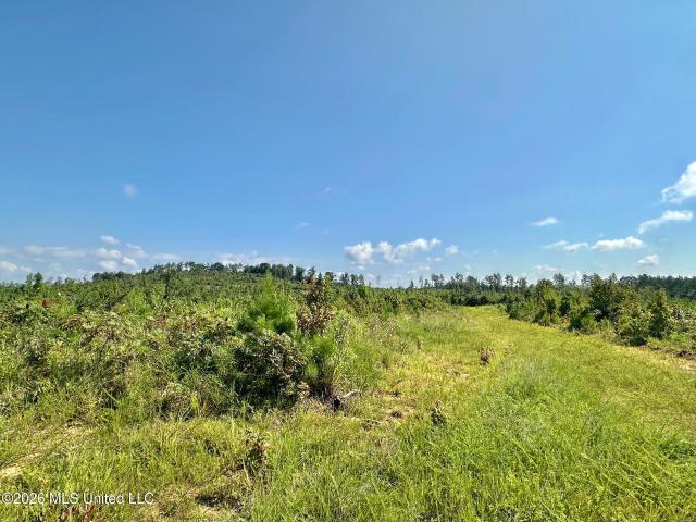 Land for sale in Mantee, Mississippi