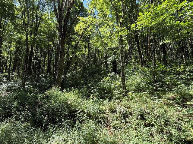Land for sale in Todd, North Carolina