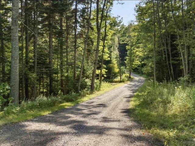 Land for sale in Phippsburg, Maine