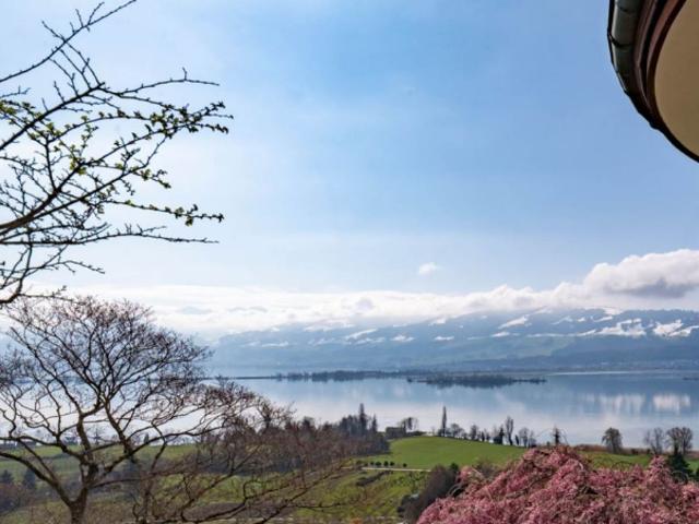 Apartment mieten in Hombrechtikon, Zürich