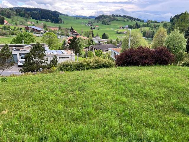 Apartment mieten in La Chaux-de-Fonds