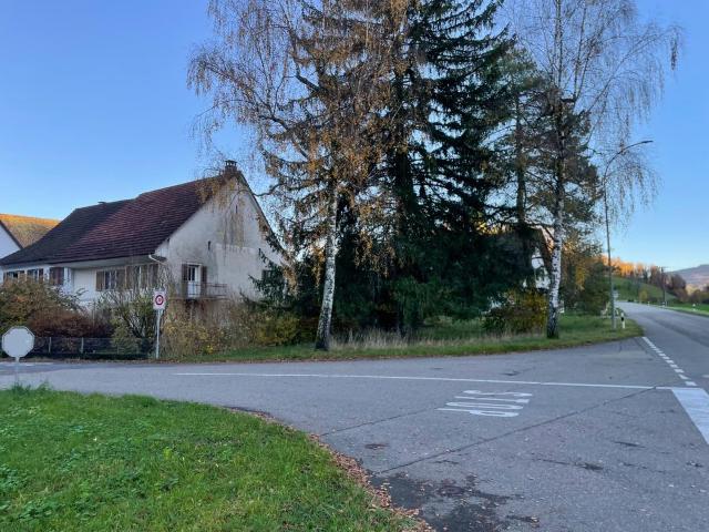 Reihenfamilienhaus kaufen in Hornussen, Aargau
