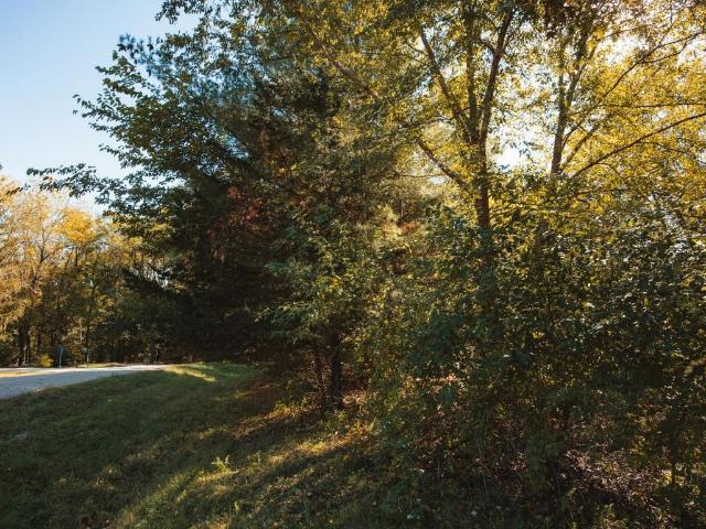 Land for sale in Apple River, Jo Daviess County