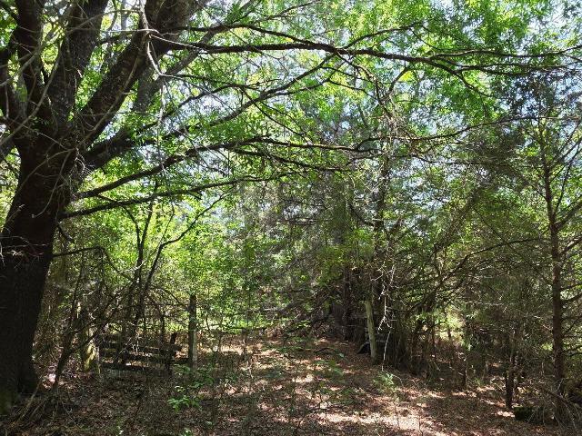 Land for sale in Mc Cormick, South Carolina