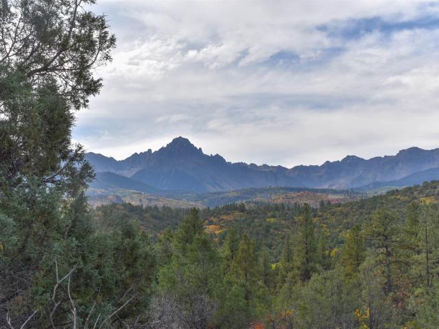 Land for sale in Ridgway, Colorado
