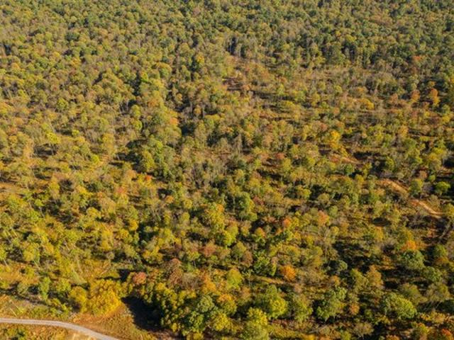 Land for sale in Clarington, Pennsylvania