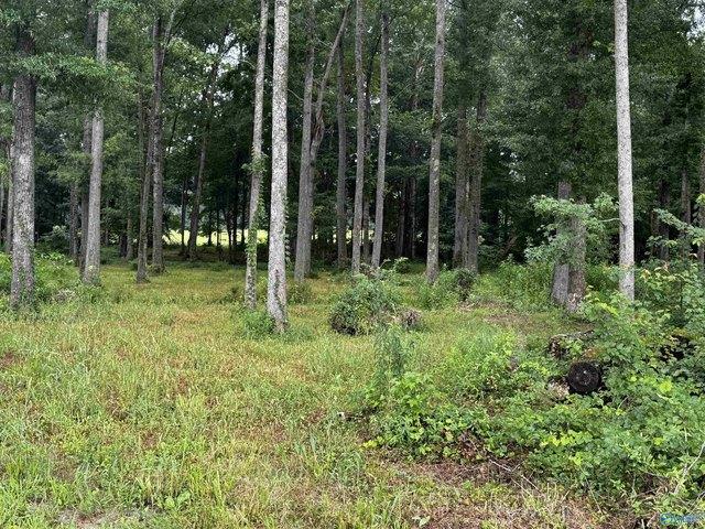 Land for sale in New Market, Alabama