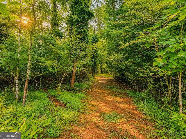 Land for sale in Blairsville, Georgia