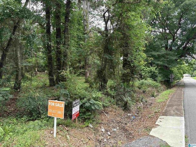 Land for sale in Ashville, Alabama