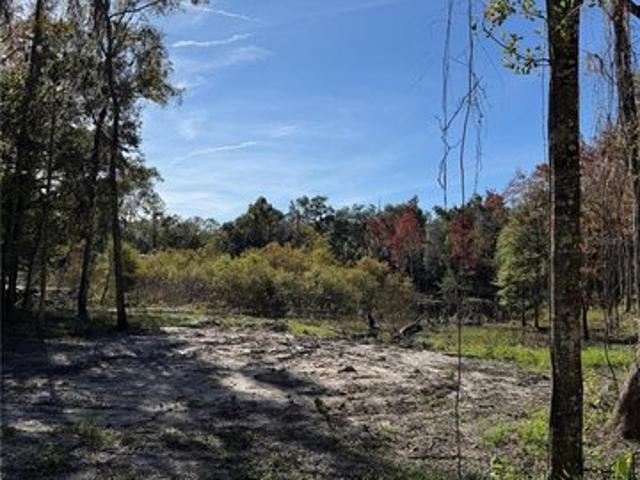 Farm for sale in Ocala, Marion County