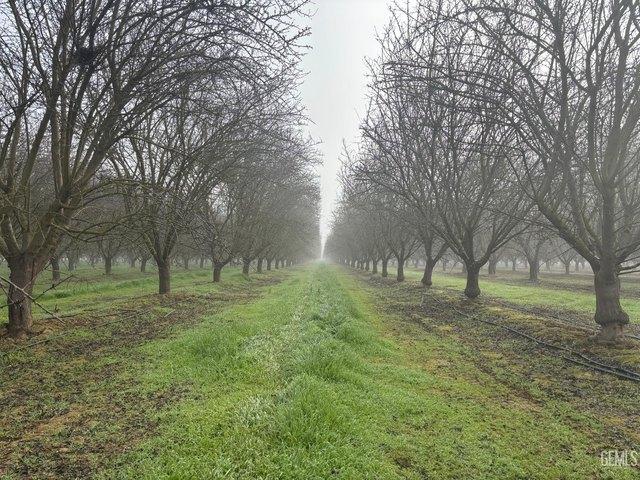 Farm for sale in Shafter, California
