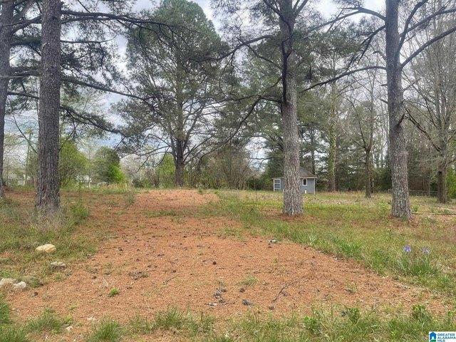 Land for sale in Carbon Hill, Alabama