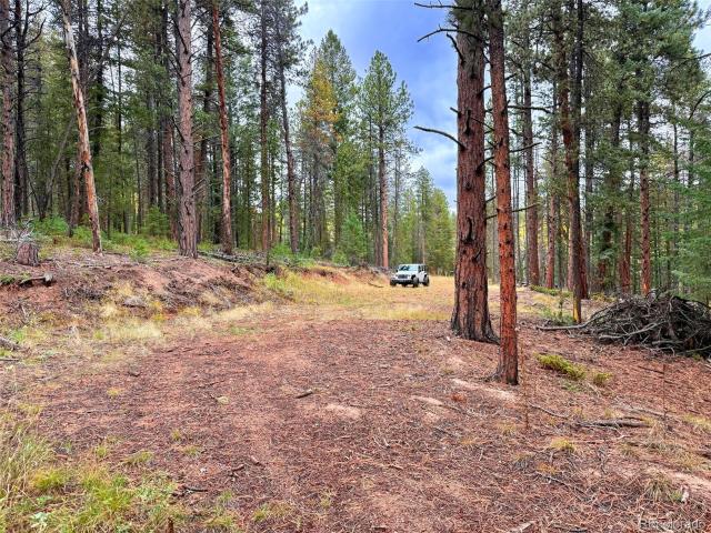 Land for sale in Oehlmann Park, Conifer