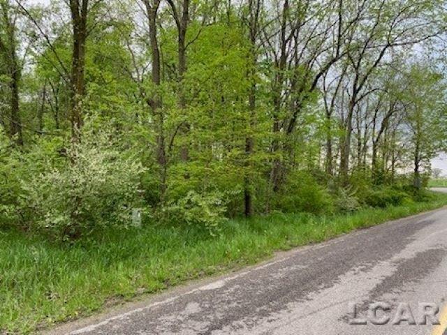 Land for sale in Onsted, Michigan