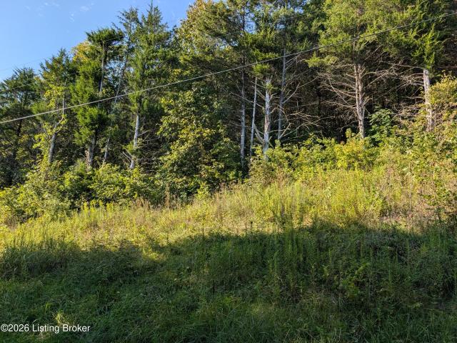 Land for sale in Madison, Jefferson County