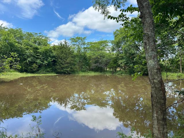 Farm for sale in Mountain Grove, Missouri