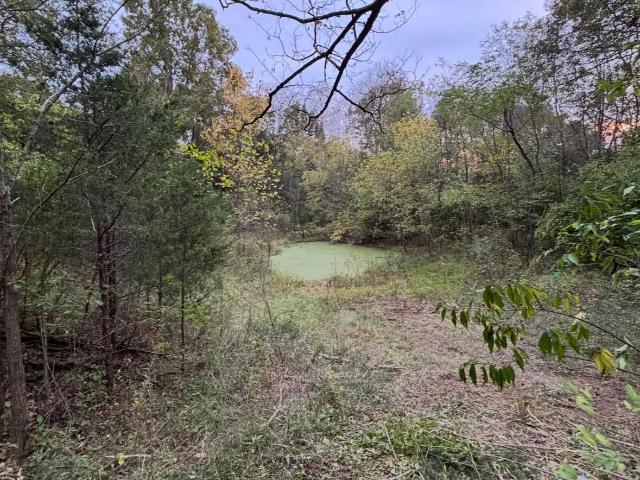 Land for sale in Dry Ridge, Kentucky