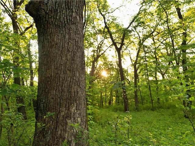 House for sale in Buchanan, Missouri