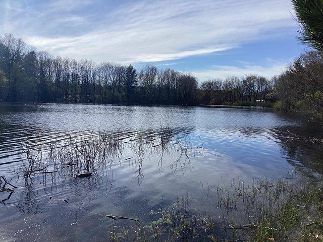 Land for sale in Mears, Michigan