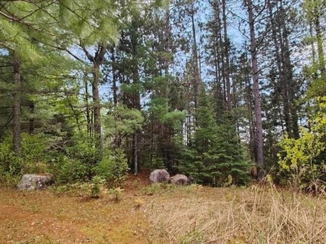 Land for sale in Tower, Minnesota