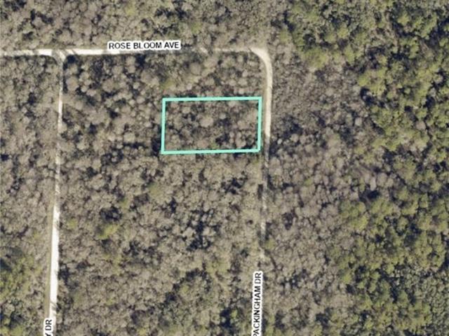 Land for sale in Webster, Florida