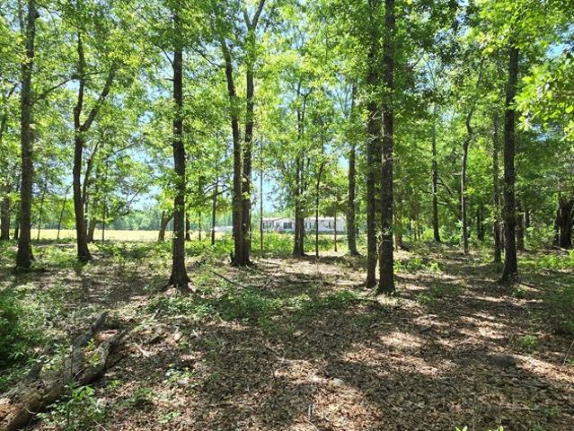 House for sale in Geneva, Alabama
