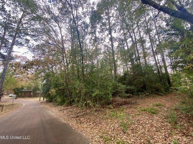 Land for sale in Mccomb, Mississippi