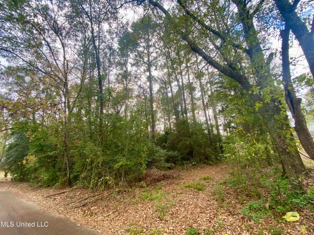 Land for sale in Mccomb, Mississippi