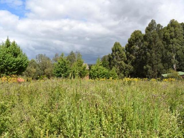 Land for sale in Dullstroom, Mpumalanga