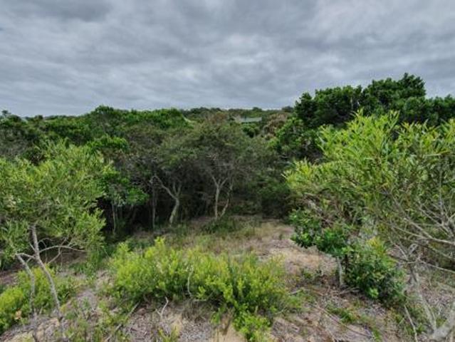 Land for sale in Eastern Cape
