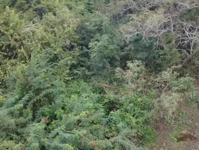 Land for sale in Ehlanzeni, Mpumalanga