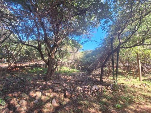 Land for sale in Limpopo