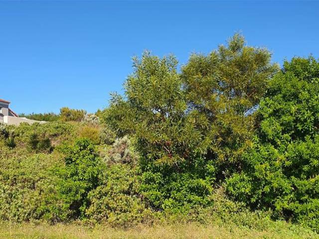 Land for sale in Cape St Francis, Eastern Cape