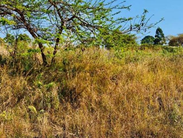 Land for sale in Mopani, Limpopo
