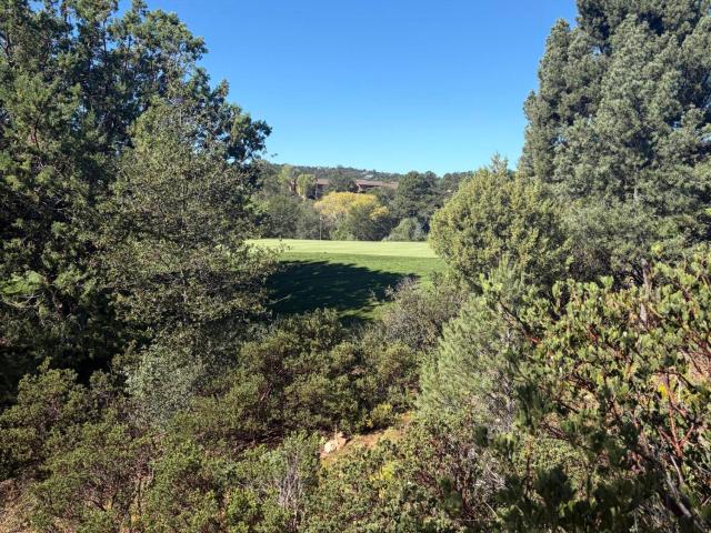 Land for sale in Payson, Gila County