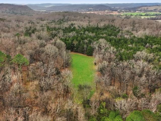 Farm for sale in Tennessee