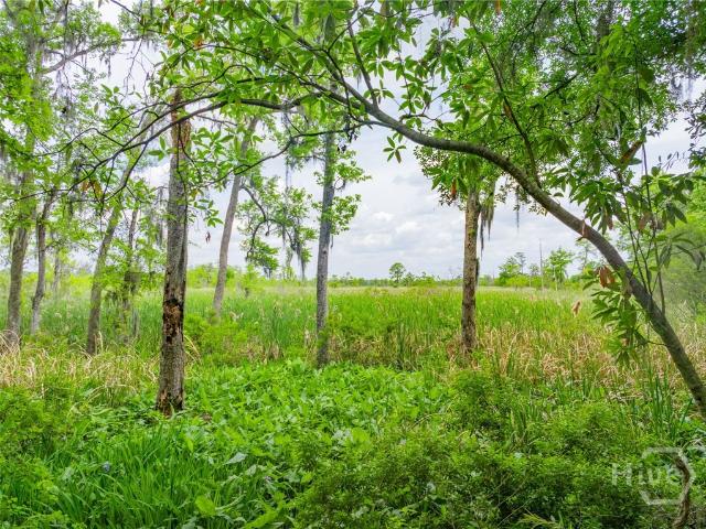 Land for sale in Richmond Hill, Georgia