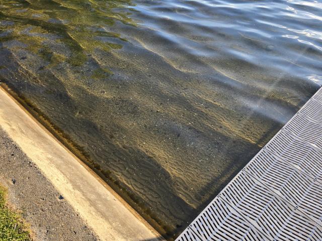 Land for sale in Twin Lakes, Wisconsin