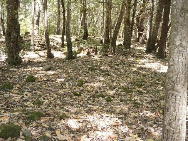 Land for sale in Burnt Ranch, California