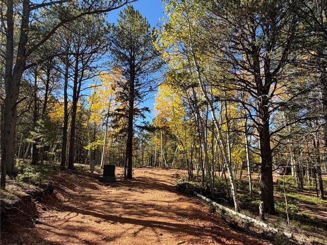 Land for sale in Midland, Divide