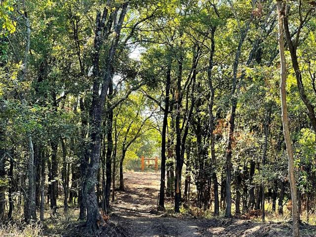 Land for sale in Denton, Texas