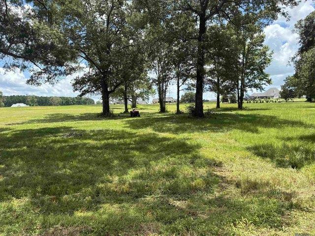 Land for sale in Saint Francisville, Louisiana
