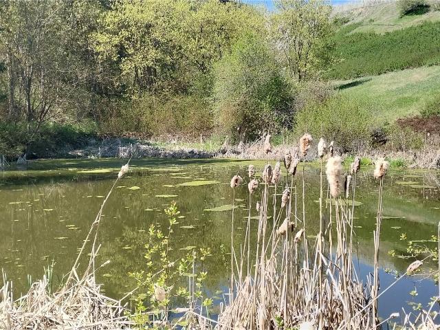 Land for sale in Peshastin, Washington