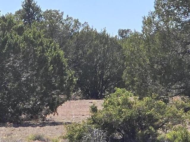 Land for sale in Williams, Arizona