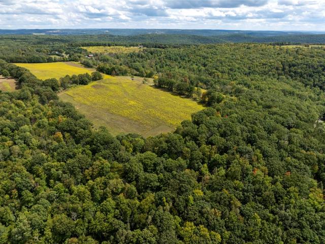 Land for sale in Bath, New York